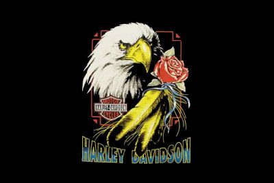 Kliknite da vidite sliku u punoj veličini