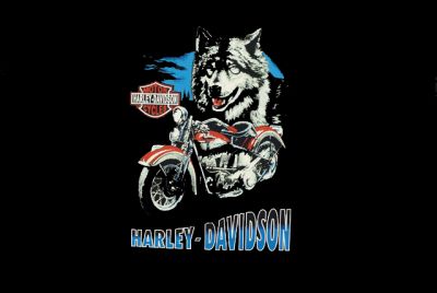 Kliknite da vidite sliku u punoj veličini