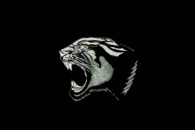 Kliknite da vidite sliku u punoj veličini